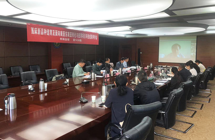 蓖麻新品种选育及面向南亚东南亚转化与应用 anli.jpg